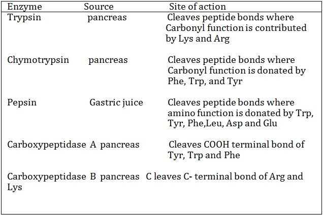 cleving sites of some proteolytic enzymes used in partial hydrolysis